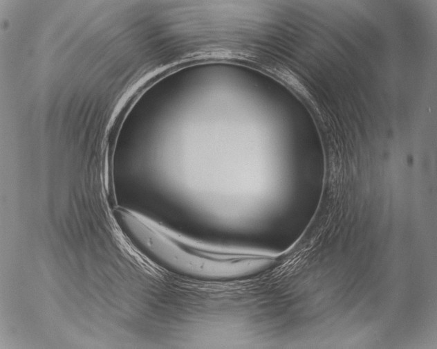 X0000055511132200509091335