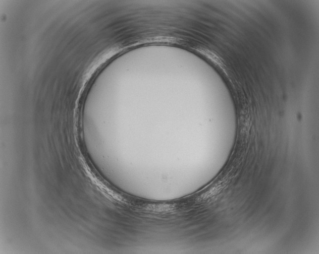 X0000055511135200509091335