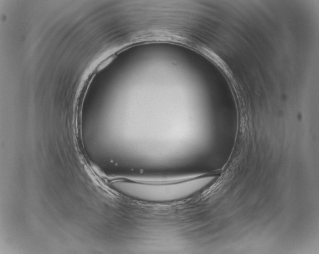 X0000055511144200509091336