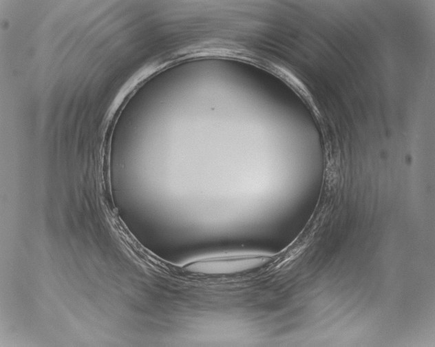 X0000055511146200509091336
