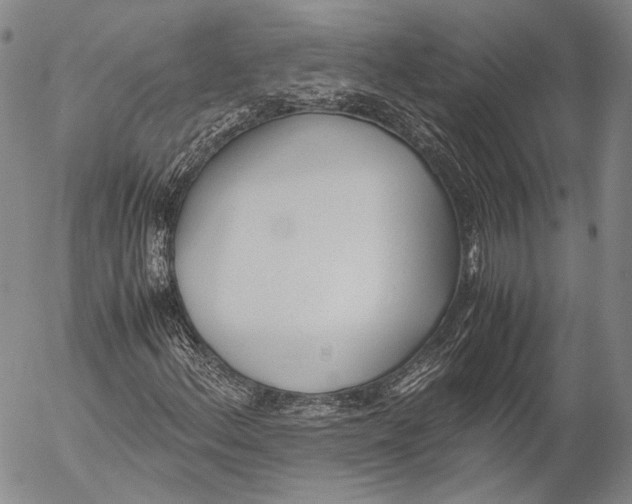 X0000055511156200509091335