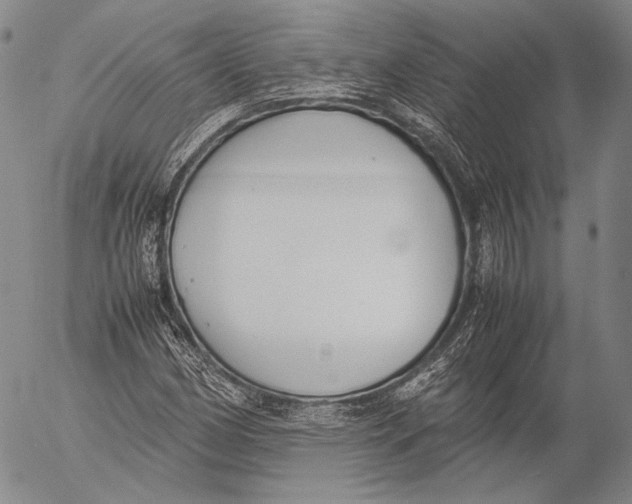 X0000055511162200509091335
