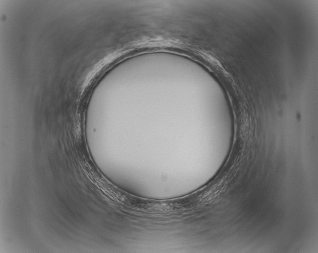 X0000055511167200509091335