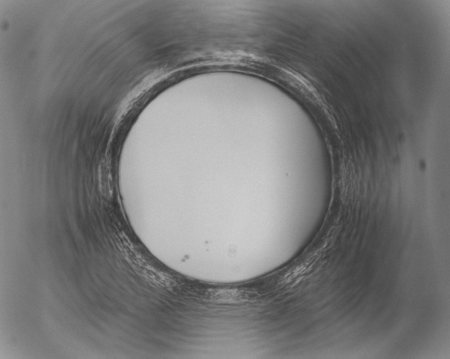 X0000055511172200509091335
