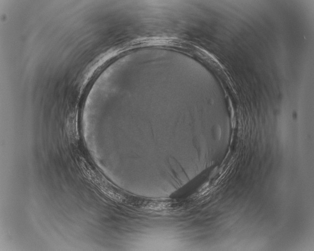 X0000055511174200509091335