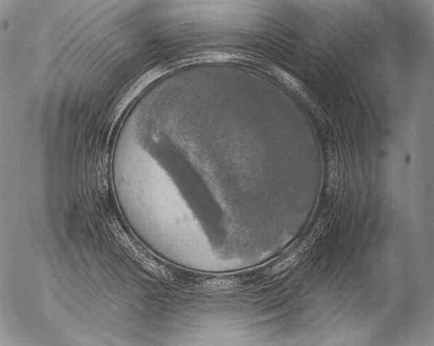 X0000055511178200509091334