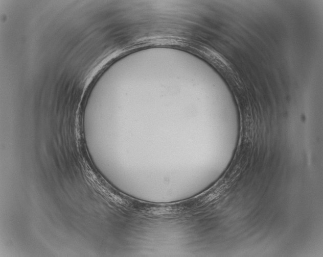 X0000055511182200509091334