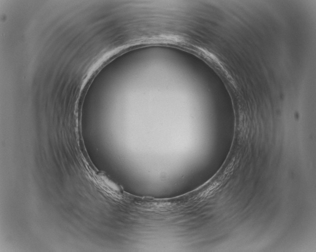 X0000055511184200509091334