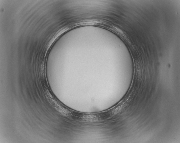 X0000055511186200509091334