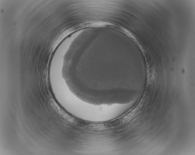 X0000055511194200509091334