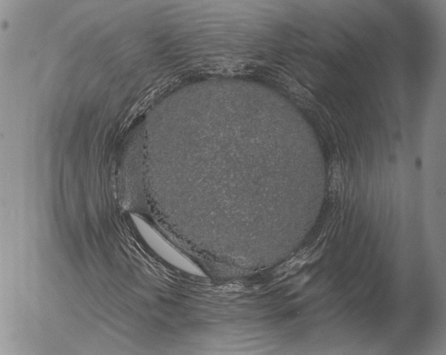 X0000055511202200509091333