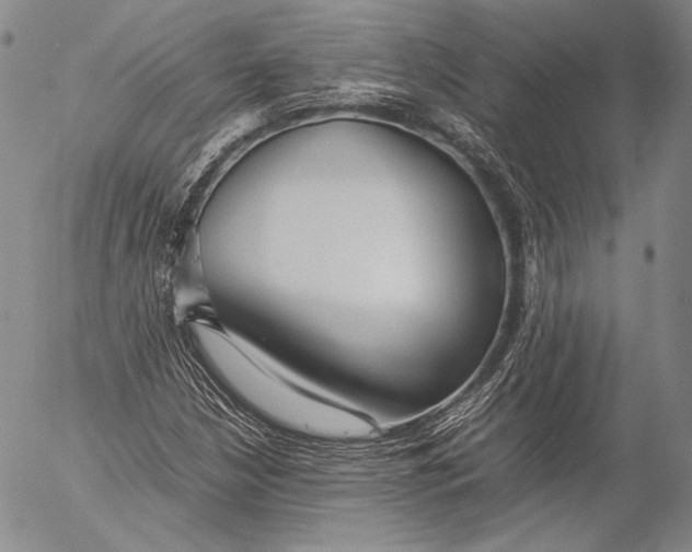 X0000055511210200509091333