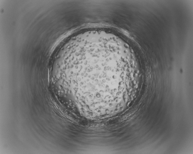 X0000055511221200509091334