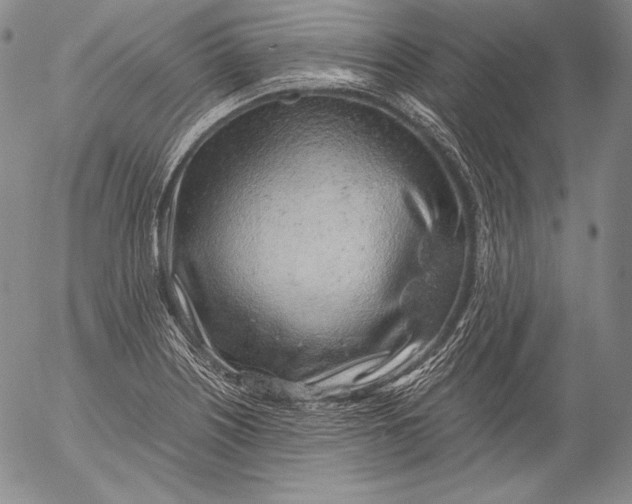 X0000055511226200509091334