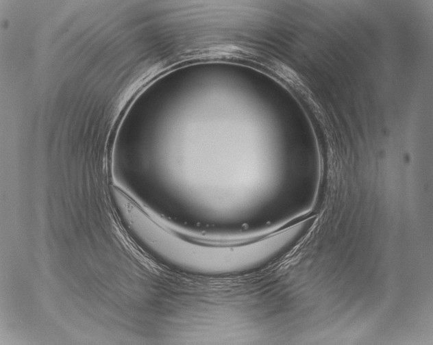X0000055511234200509091334