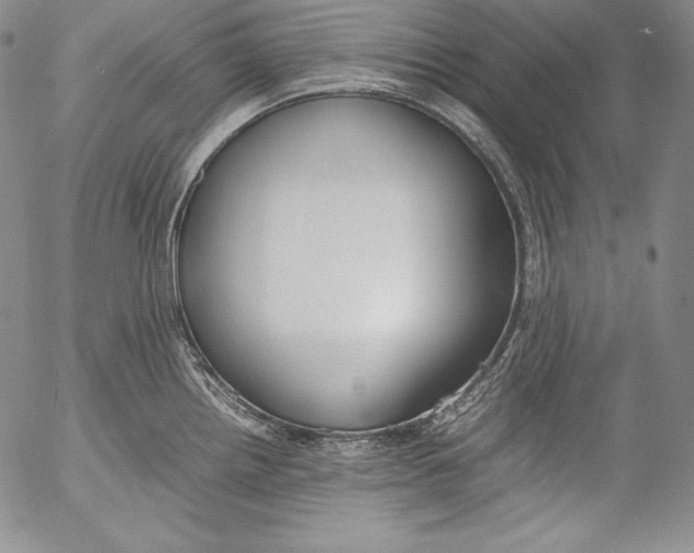 X0000055511242200509091334