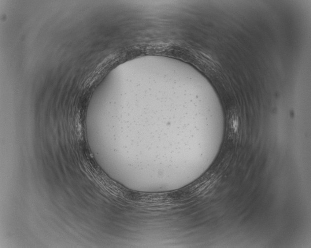 X0000055511252200509091333