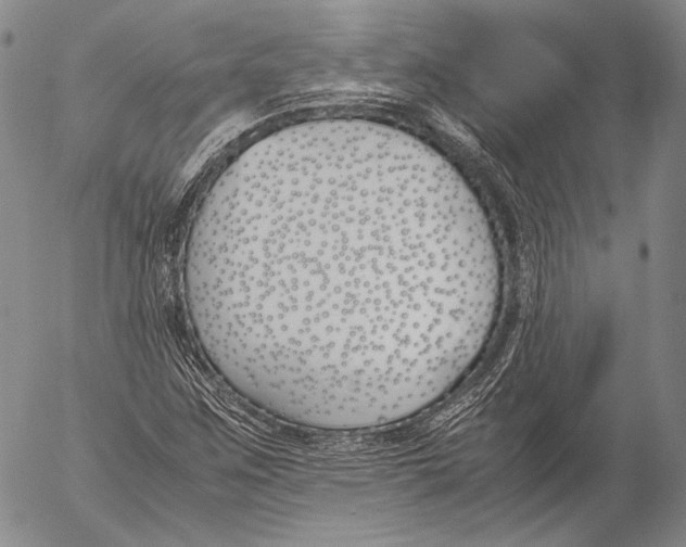 X0000055511259200509091333