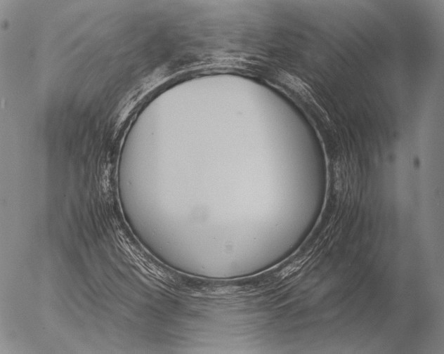 X0000055511260200509091333