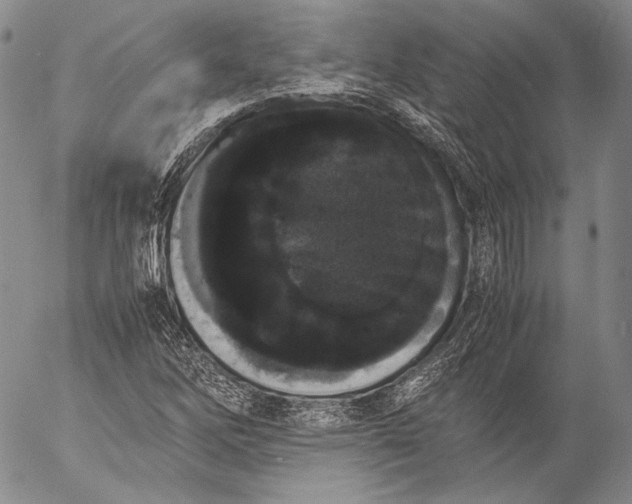 X0000055511262200509091333