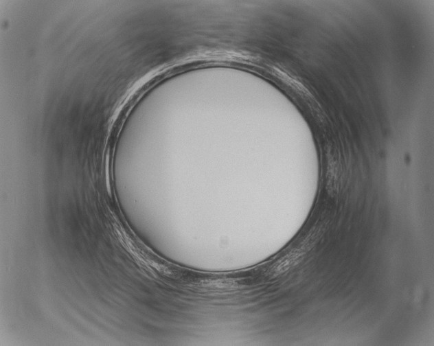 X0000055511272200509091333