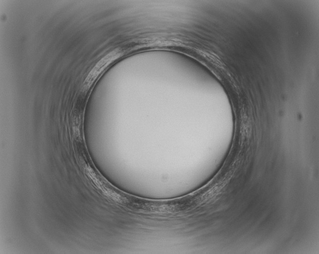 X0000055511273200509091333