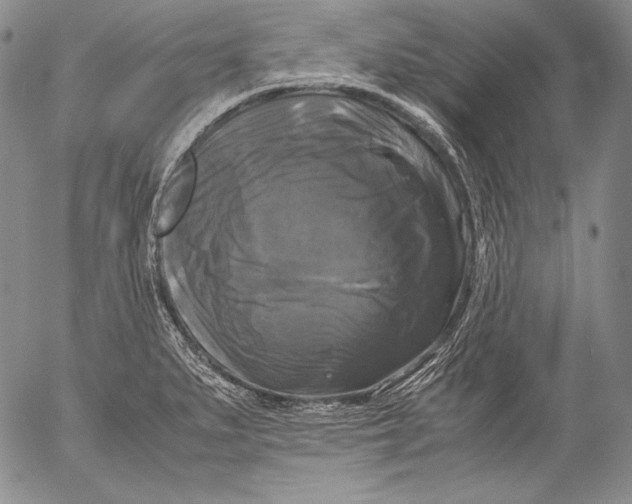 X0000055511279200509091333