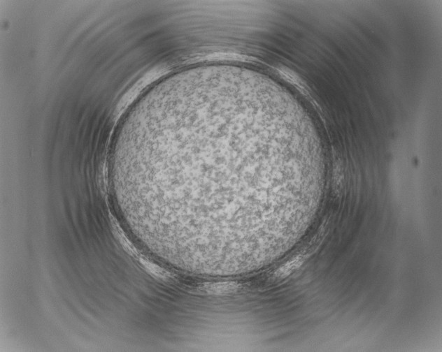 X0000055511282200509091333