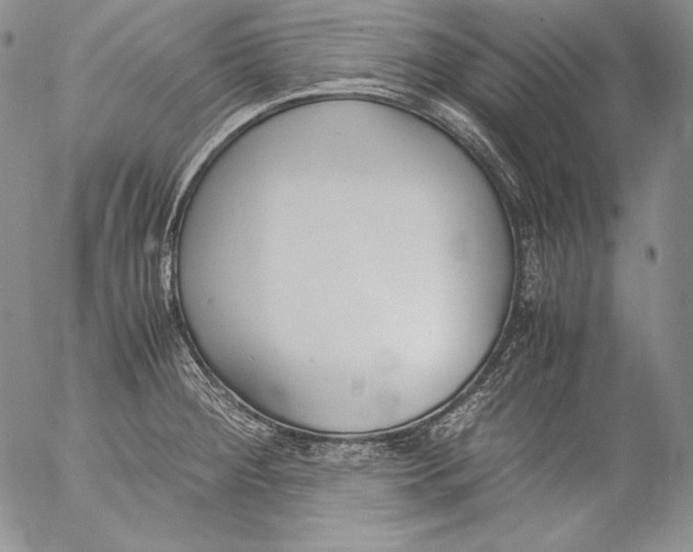 X0000055511284200509091333