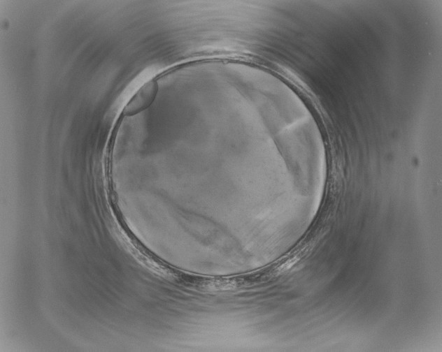 X0000055511291200509091333