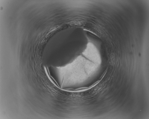 X0000055511297200509091332