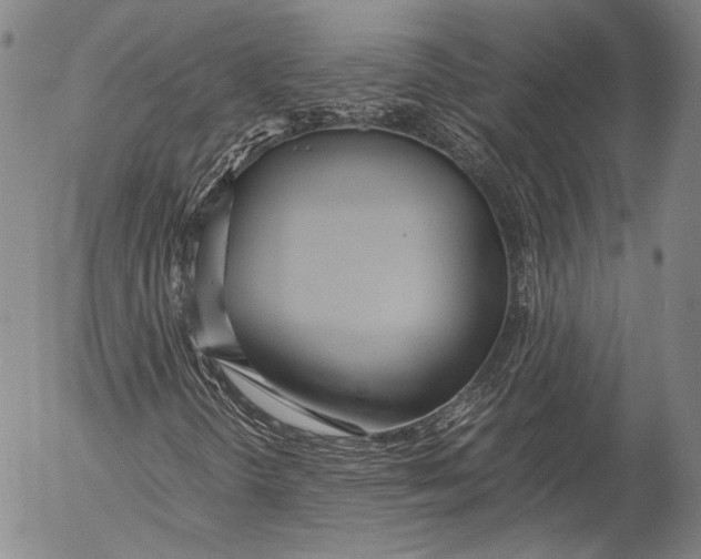 X0000055511298200509091332