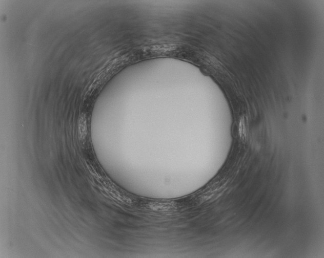 X0000055511299200509091332