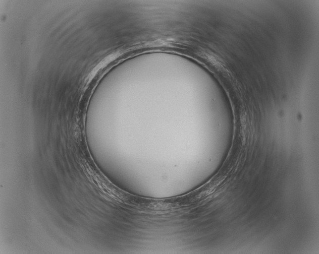 X0000055511308200509091332