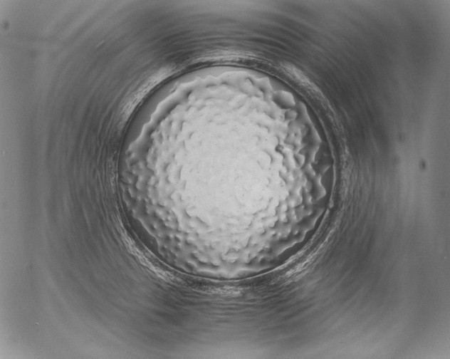 X0000055511329200509091332