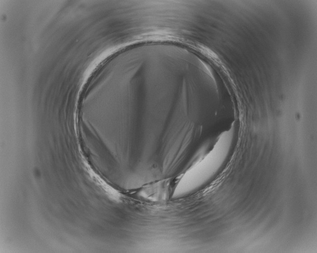 X0000055511334200509091332