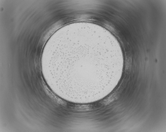 X0000055511338200509091332