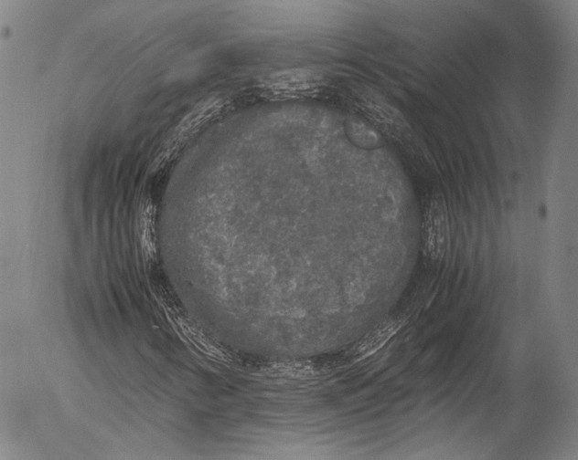 X0000055511346200509091332