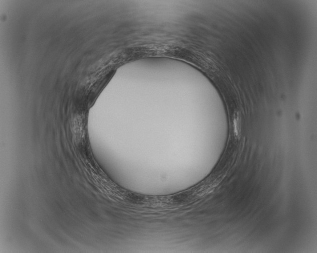 X0000055511347200509091332