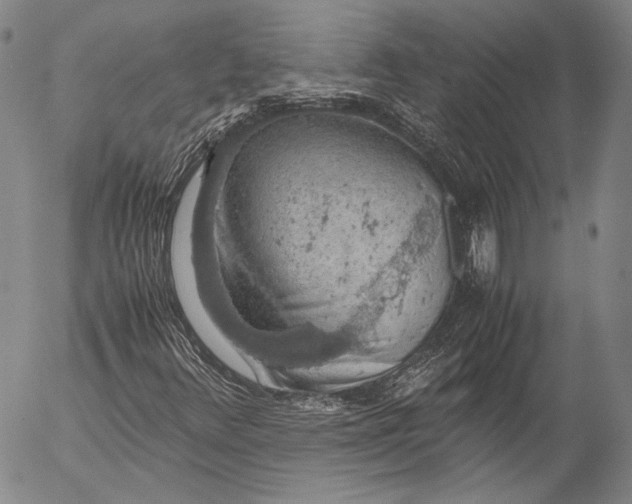 X0000055511348200509091332