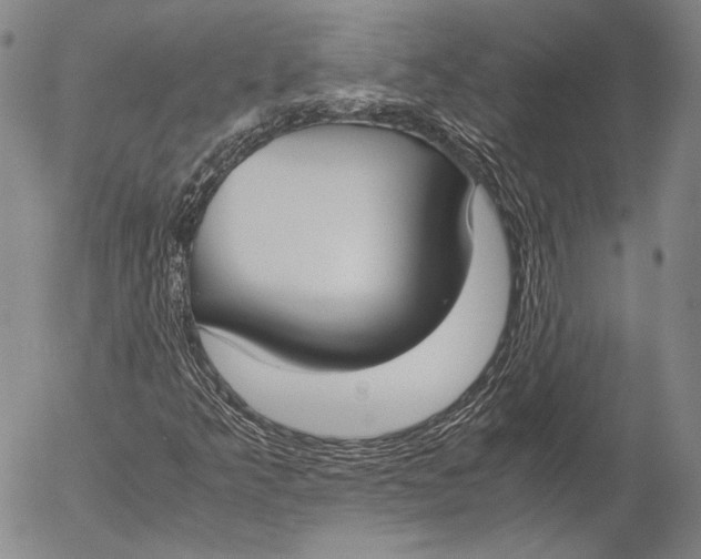 X0000055511349200509091332
