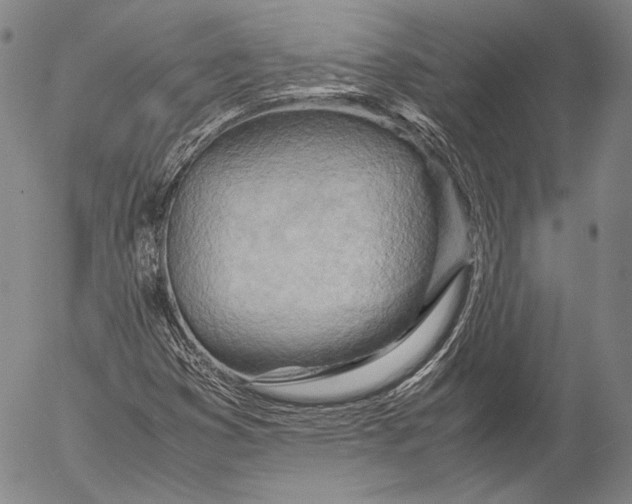 X0000055511353200509091332