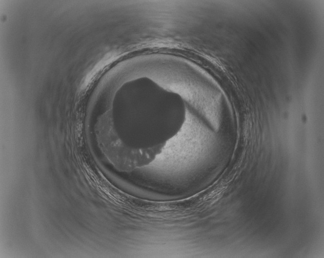X0000055511359200509091332