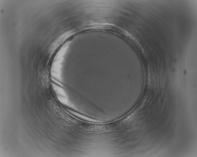 X0000055511362200509091331