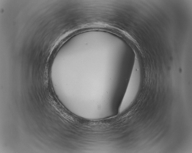 X0000055511364200509091331