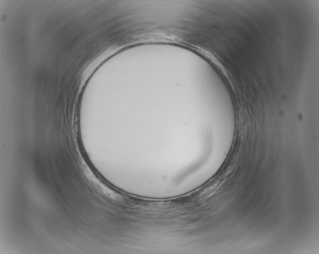 X0000055511387200509091331