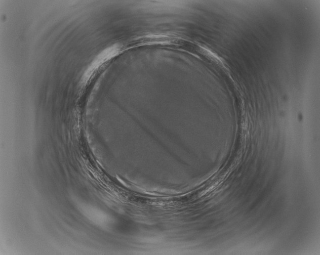X0000055511411200509091330