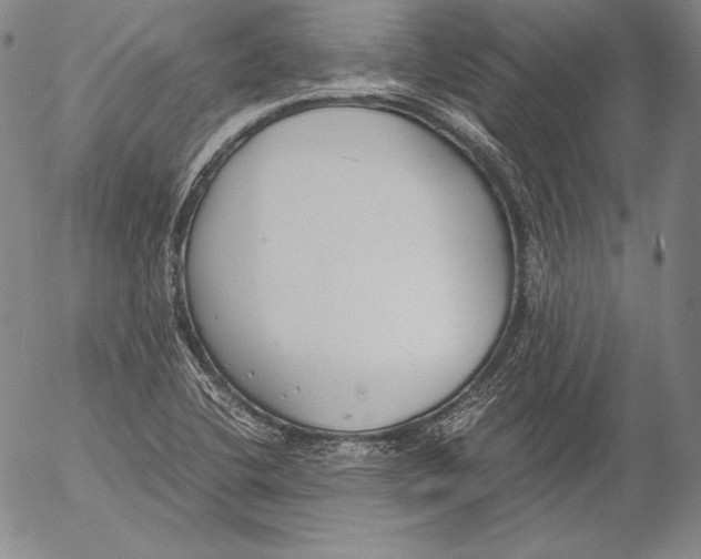 X0000055511412200509091330