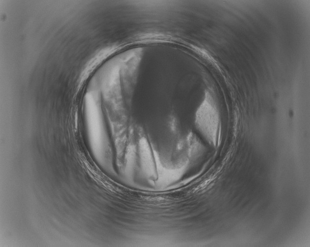 X0000055511413200509091331