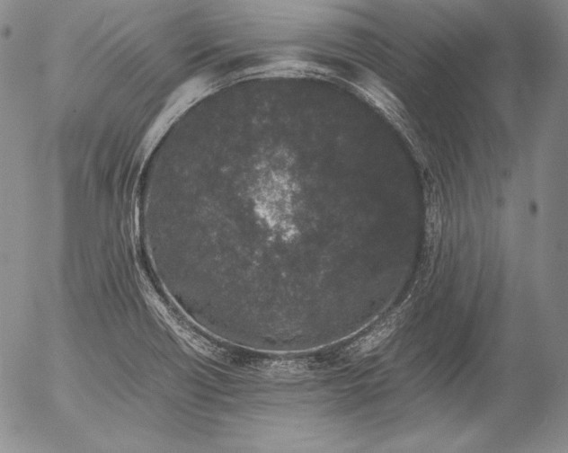 X0000055511418200509091331